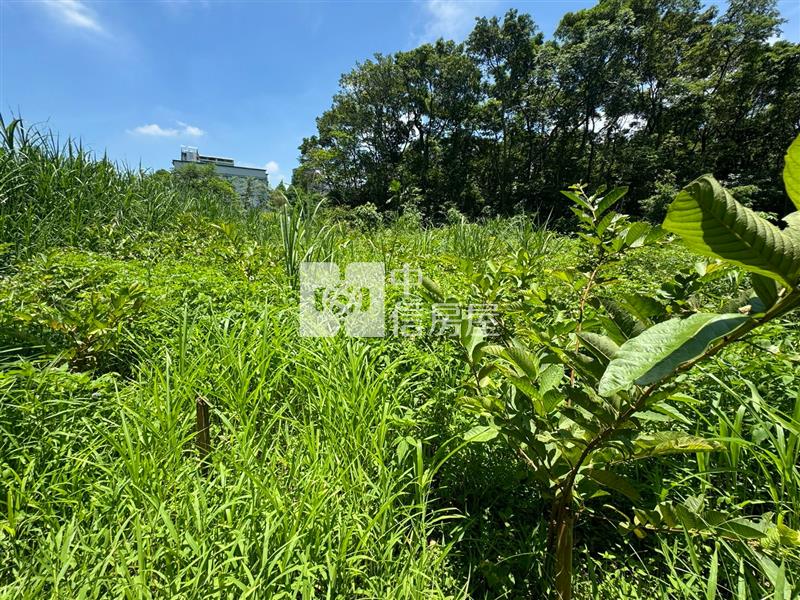 大溪瑞源段落羽松農地房屋室內格局與周邊環境