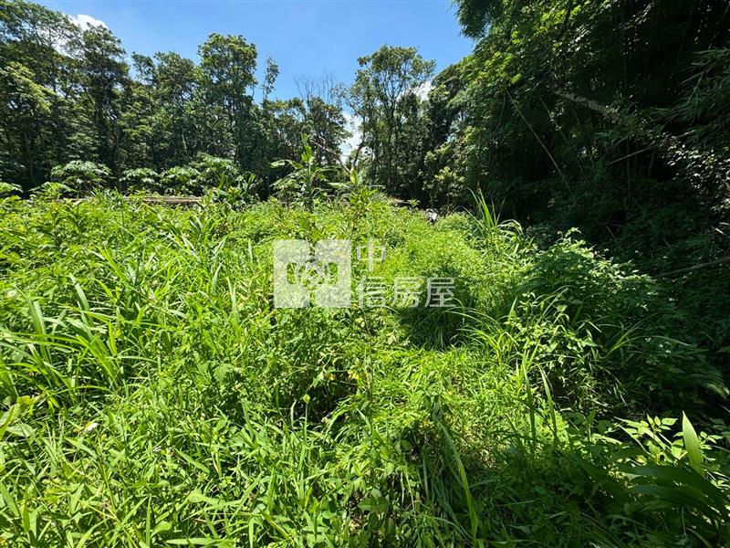 大溪瑞源段落羽松農地房屋室內格局與周邊環境