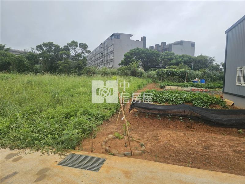 平鎮長安路都計內農地(四筆可選)房屋室內格局與周邊環境