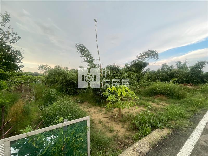 專-歸仁崙頂有臨路1分美農地房屋室內格局與周邊環境