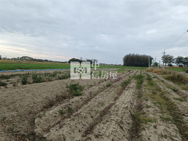 新吉西埔持分面寬美農地房屋室內格局與周邊環境