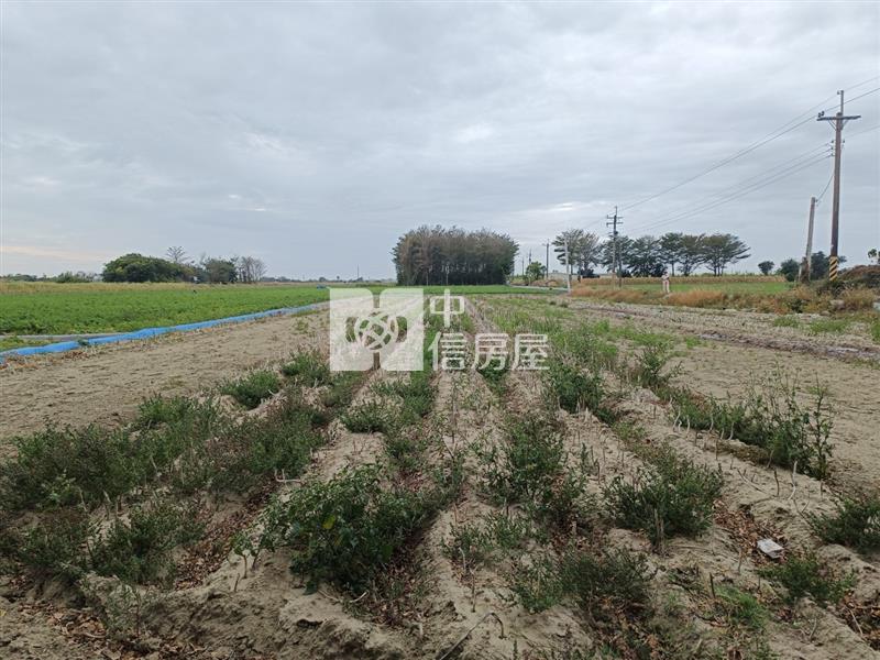 新吉西埔持分面寬美農地房屋室內格局與周邊環境