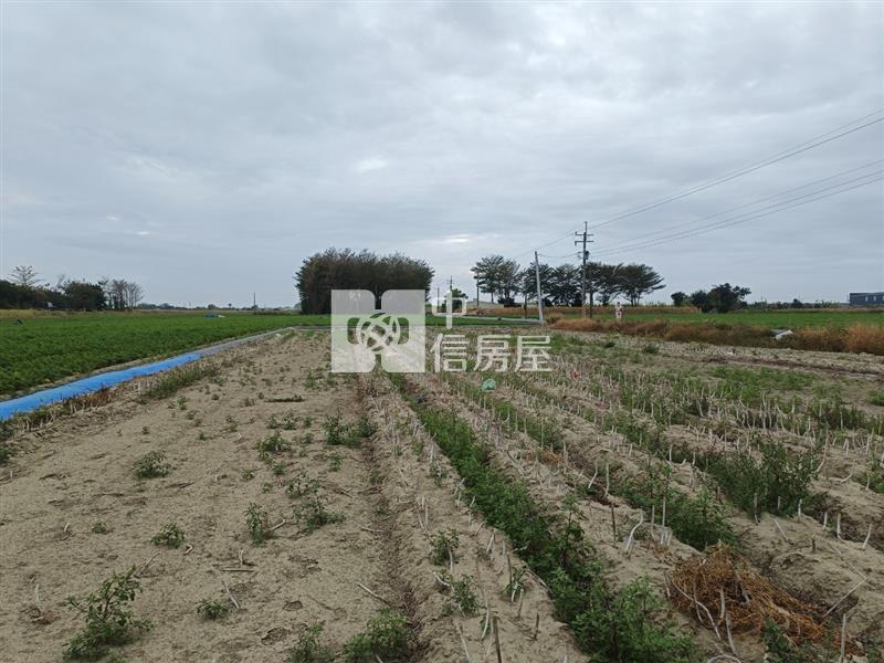 新吉西埔持分面寬美農地房屋室內格局與周邊環境