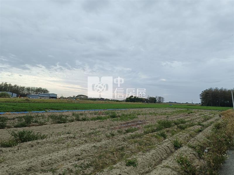 新吉西埔持分面寬美農地房屋室內格局與周邊環境