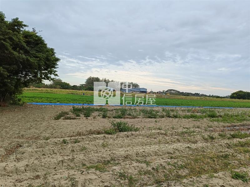 新吉西埔持分面寬美農地房屋室內格局與周邊環境