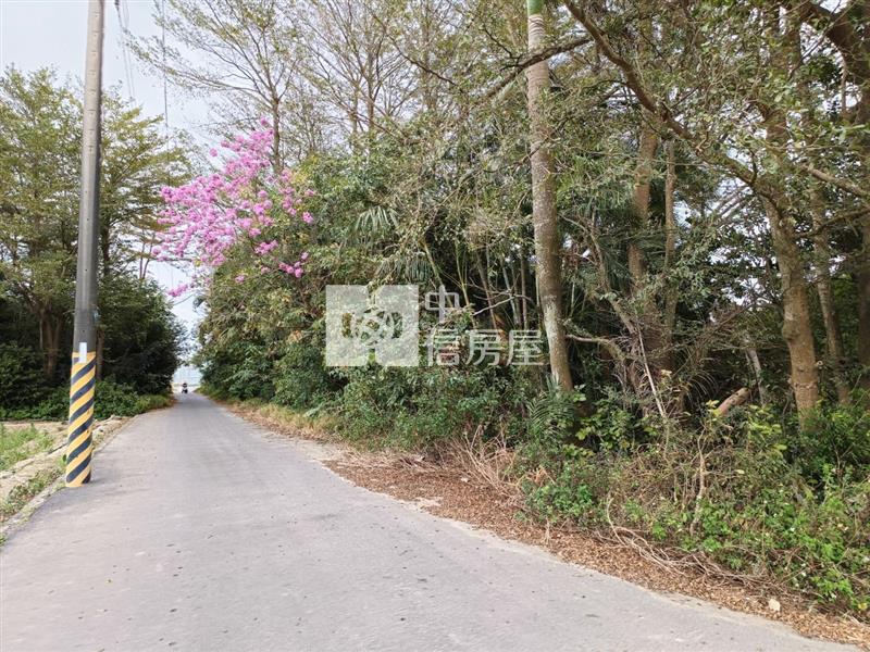 新吉西埔持分面寬美農地房屋室內格局與周邊環境