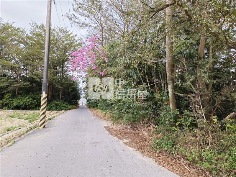 新吉西埔持分面寬美農地房屋室內格局與周邊環境