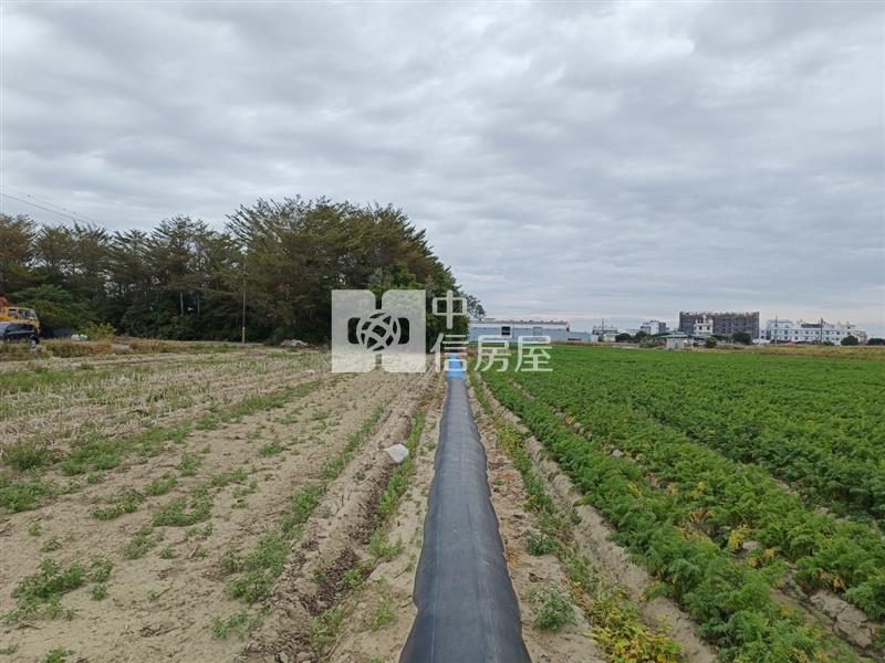 新吉西埔持分面寬美農地房屋室內格局與周邊環境