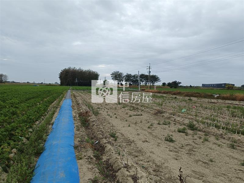 新吉西埔持分面寬美農地房屋室內格局與周邊環境