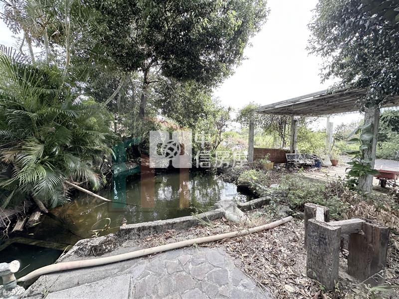 【豐禾】觀音忠愛段美農地送(農舍)房屋室內格局與周邊環境