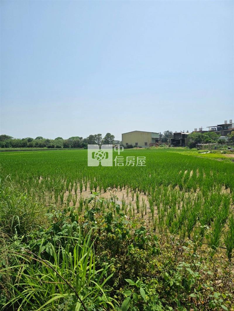 桃園新屋槺榔段下槺榔小段農地房屋室內格局與周邊環境