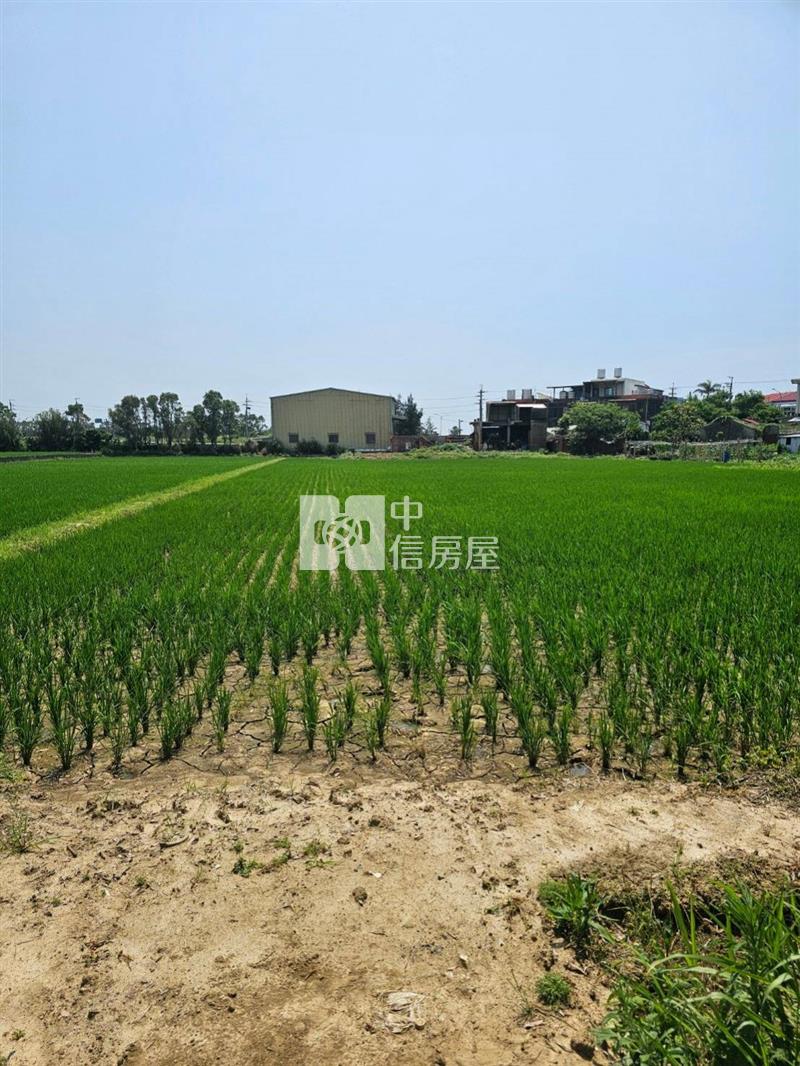 桃園新屋槺榔段下槺榔小段農地房屋室內格局與周邊環境
