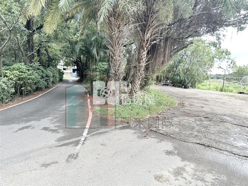 【豐禾】(專)中壢啟文段持分農地房屋室內格局與周邊環境