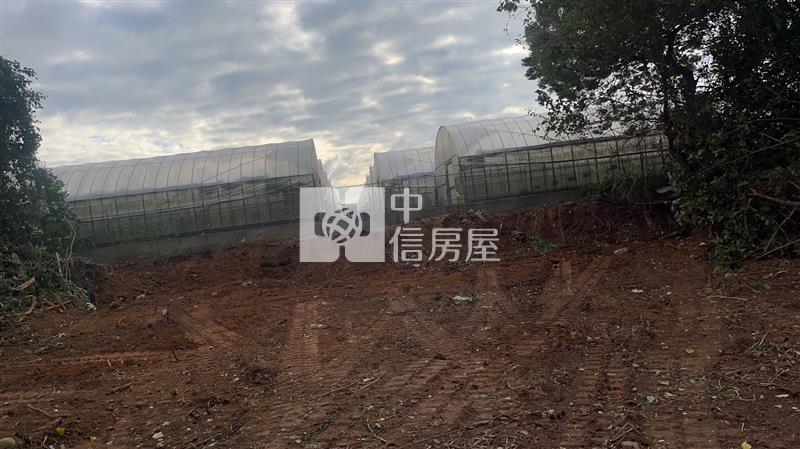 【安家】楊梅富岡段溜地3房屋室內格局與周邊環境