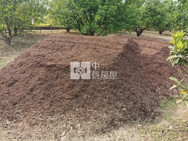 9E28 麻豆柚農地房屋室內格局與周邊環境