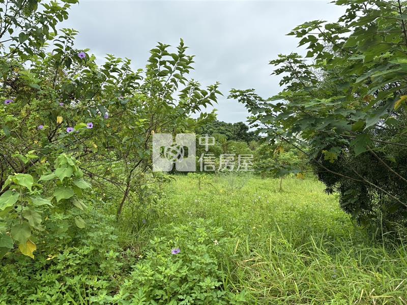 中工二期-漂亮角地(都內農可分售)房屋室內格局與周邊環境