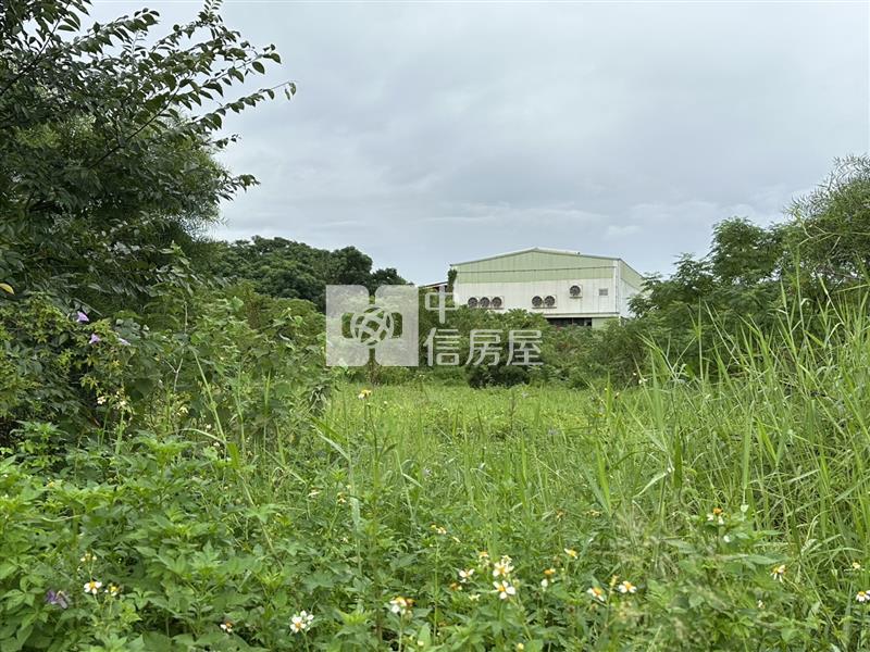 中工二期-漂亮角地(都內農可分售)房屋室內格局與周邊環境