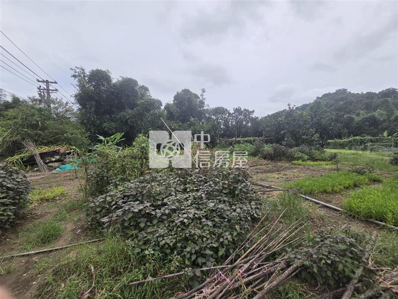 F028 綠葉馬路旁農地房屋室內格局與周邊環境