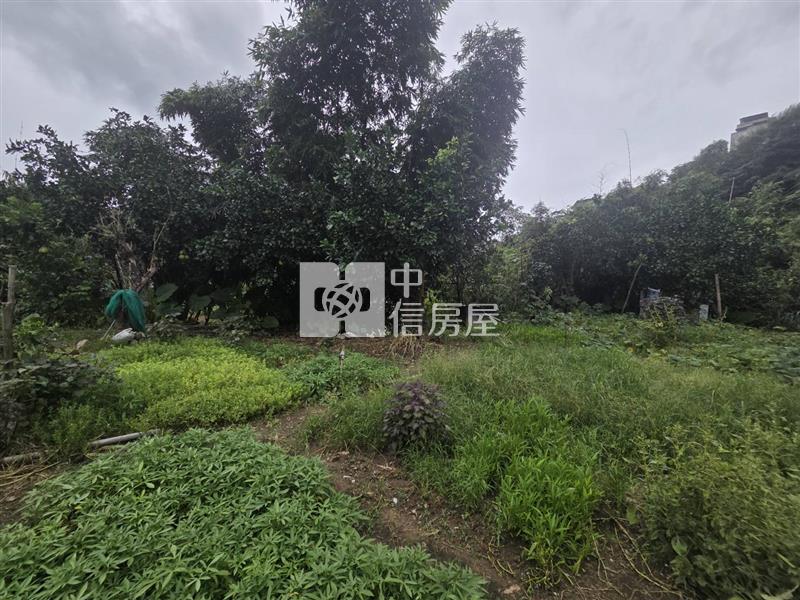 F028 綠葉馬路旁農地房屋室內格局與周邊環境