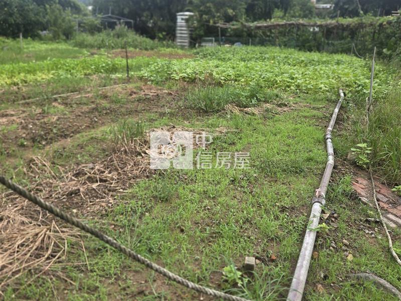 F028 綠葉馬路旁農地房屋室內格局與周邊環境