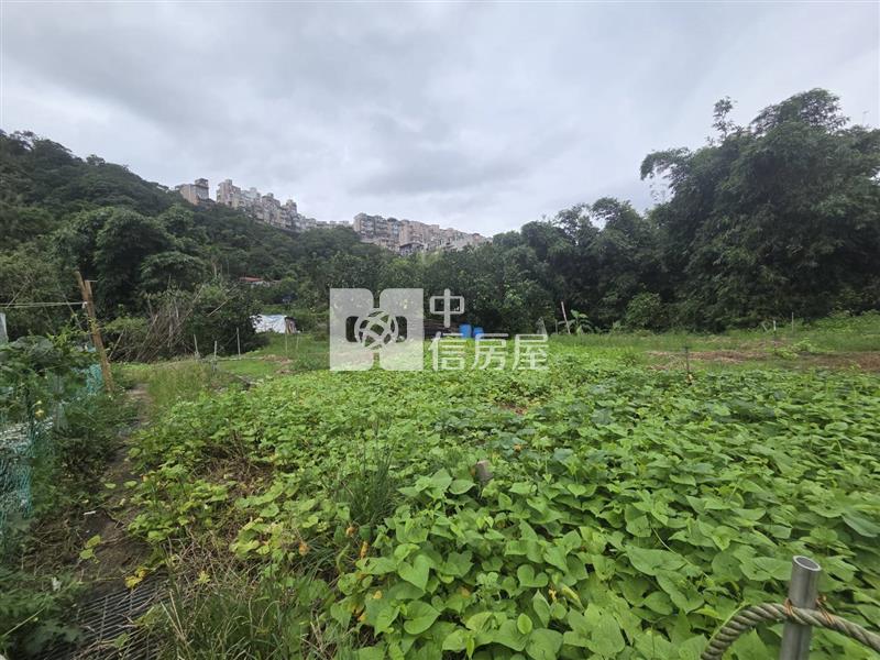 F028 綠葉馬路旁農地房屋室內格局與周邊環境