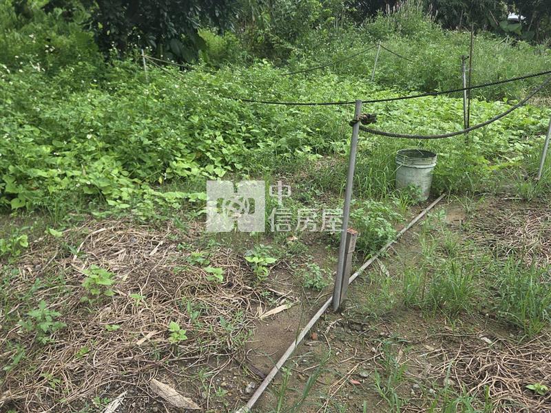 F028 綠葉馬路旁農地房屋室內格局與周邊環境