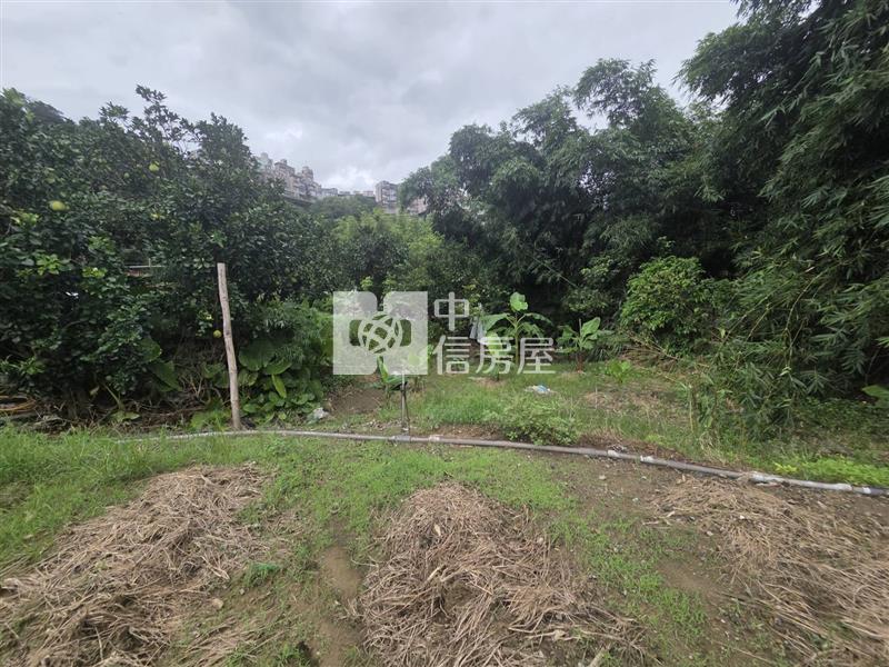 F028 綠葉馬路旁農地房屋室內格局與周邊環境