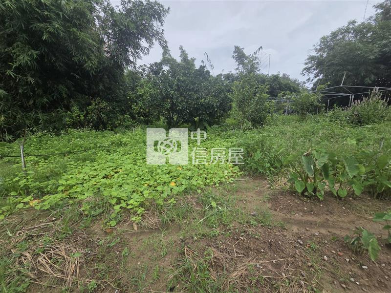 F028 綠葉馬路旁農地房屋室內格局與周邊環境