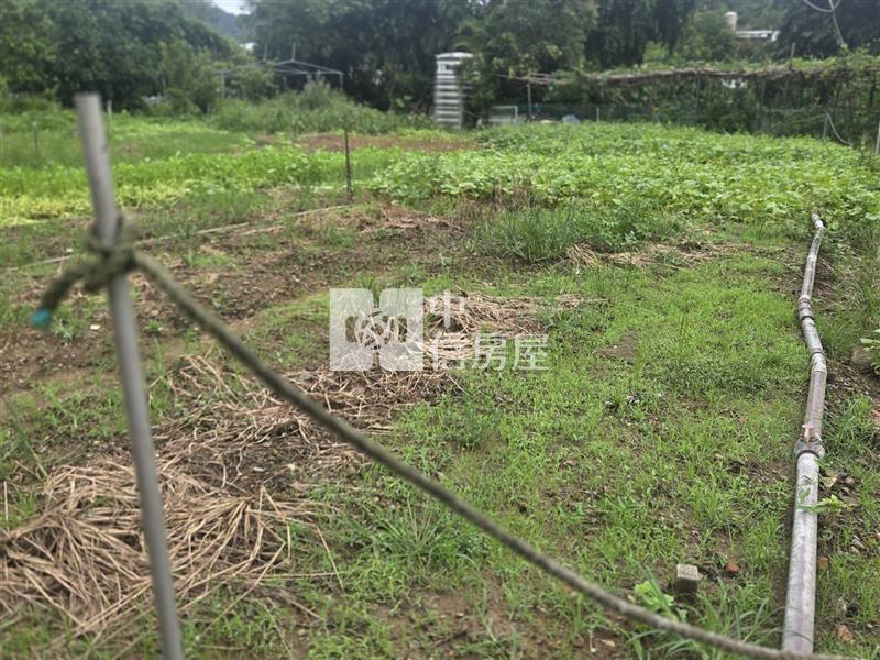 F028 綠葉馬路旁農地房屋室內格局與周邊環境