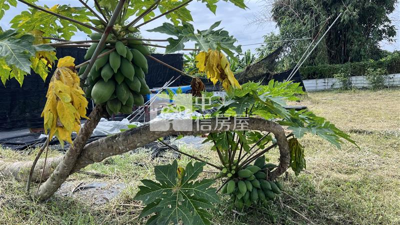 屏東農舍-愛上鹽埔休閒農舍房屋室內格局與周邊環境