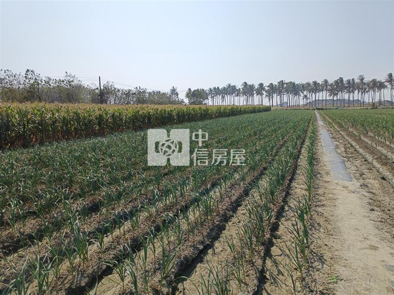 新吉西埔持分悠閒美農地房屋室內格局與周邊環境