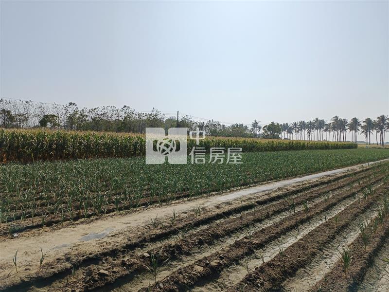 新吉西埔持分悠閒美農地房屋室內格局與周邊環境