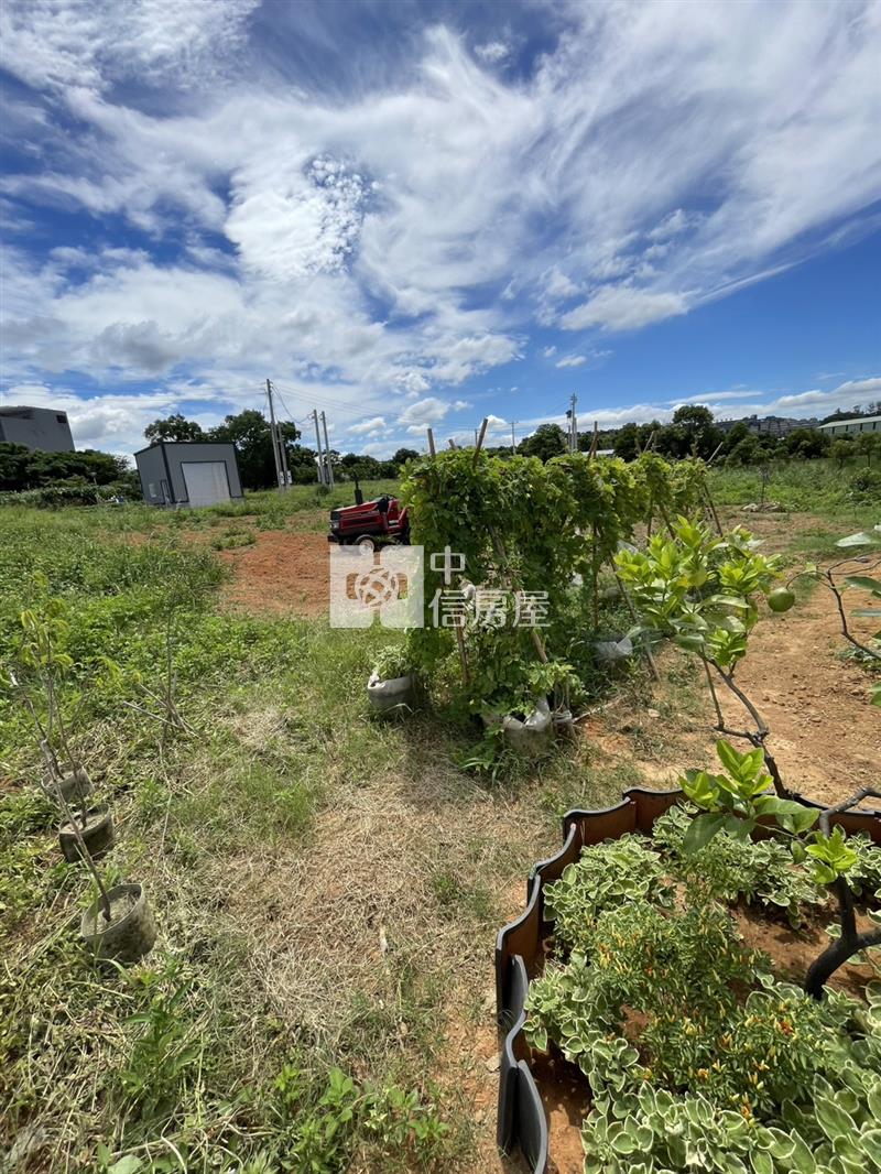 【新世紀】平鎮長安路都內農D房屋室內格局與周邊環境