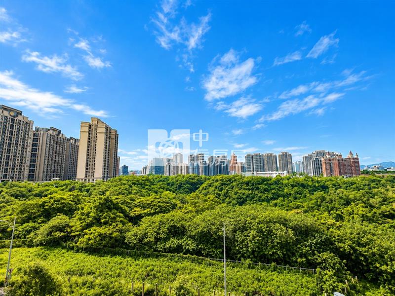 獨家│A7麗寶快樂家永久森境景觀大四房房屋室內格局與周邊環境