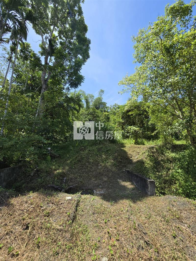 (專)光復阿托莫大地坪低總價原保農地(C31)房屋室內格局與周邊環境
