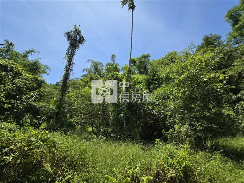 (專)光復阿托莫大地坪低總價原保農地(C31)房屋室內格局與周邊環境