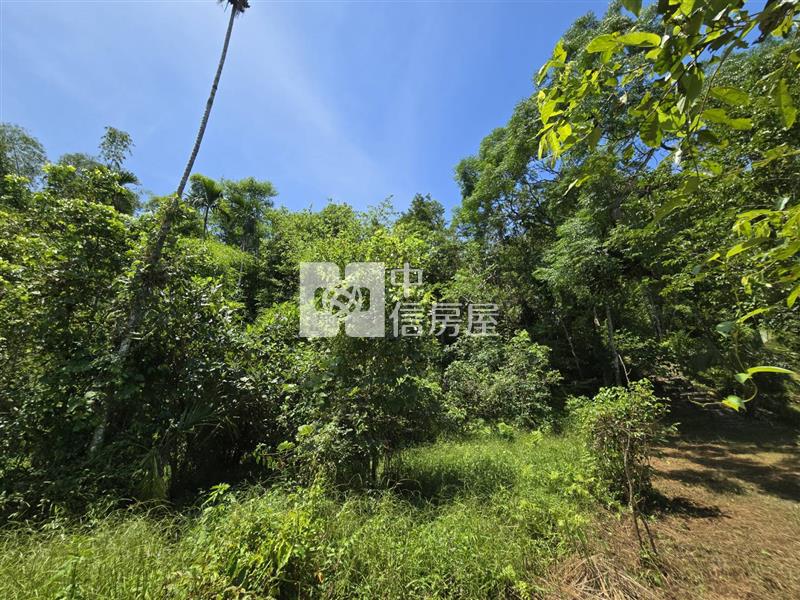 (專)光復阿托莫大地坪低總價原保農地(C31)房屋室內格局與周邊環境