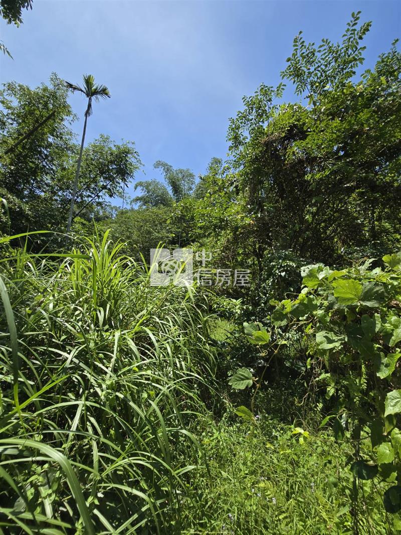 (專)光復阿托莫大地坪低總價原保農地(C31)房屋室內格局與周邊環境
