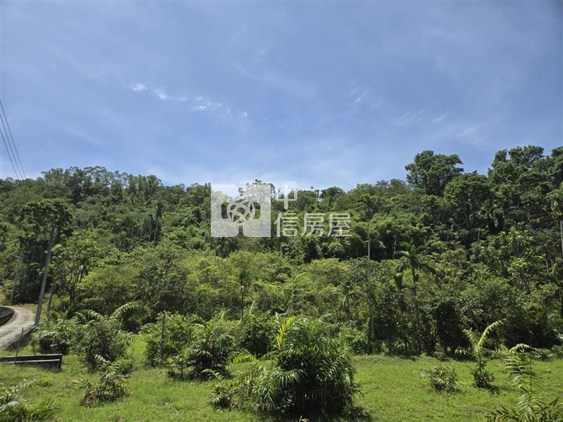 (專)光復阿托莫大地坪低總價原保農地(C31)房屋室內格局與周邊環境