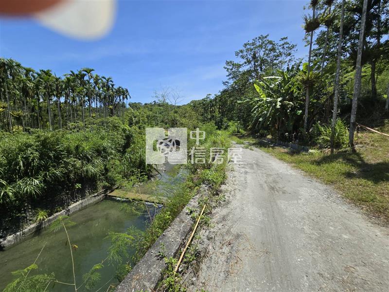 (專)光復阿托莫大地坪低總價原保農地(C31)房屋室內格局與周邊環境