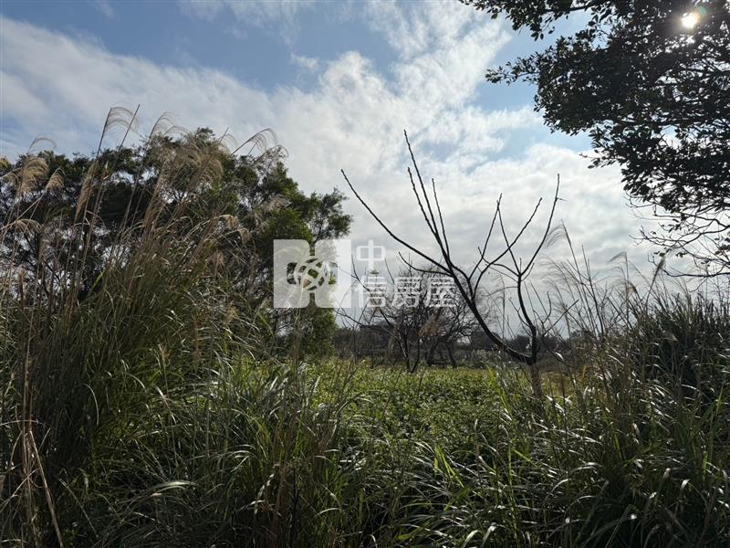 楊梅富岡農地房屋室內格局與周邊環境