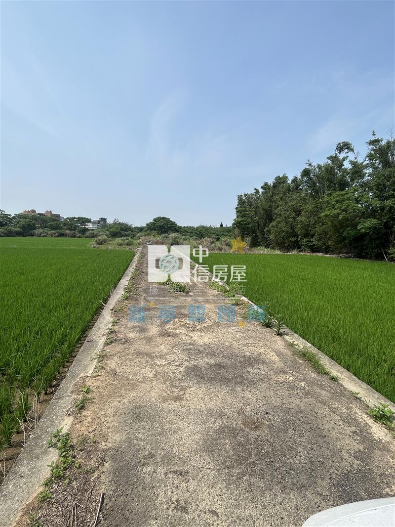 【新夢想】觀音育仁段甲建房屋室內格局與周邊環境
