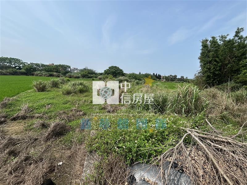 【新夢想】觀音育仁段甲建房屋室內格局與周邊環境