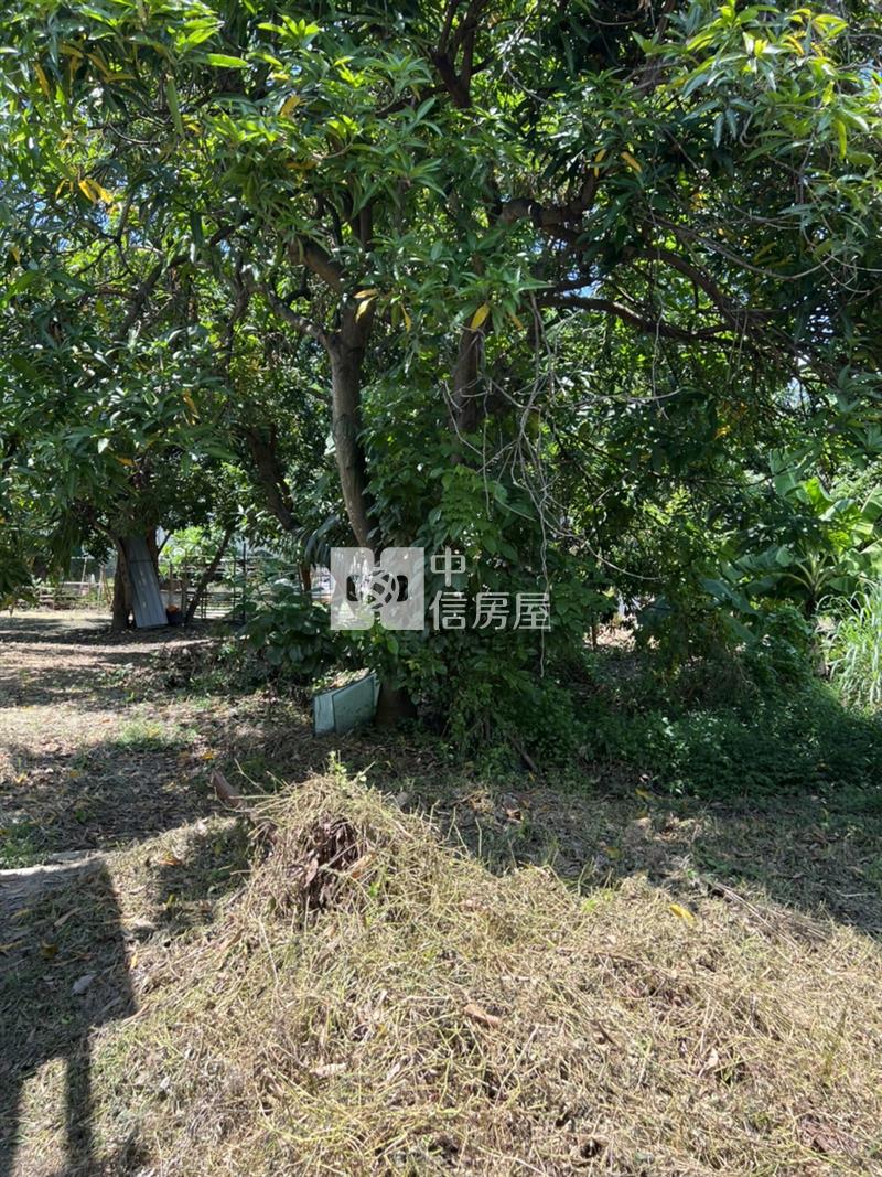 歸仁無路建地房屋室內格局與周邊環境
