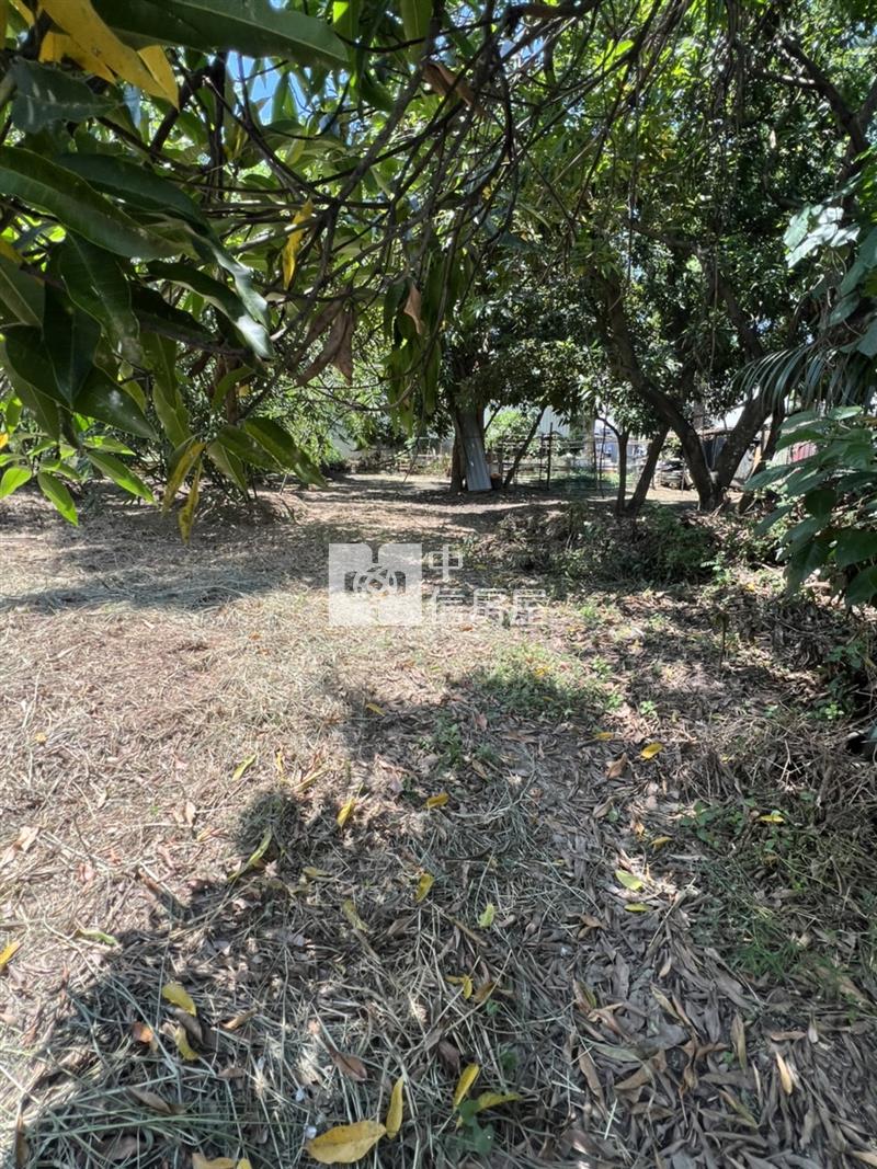 歸仁無路建地房屋室內格局與周邊環境