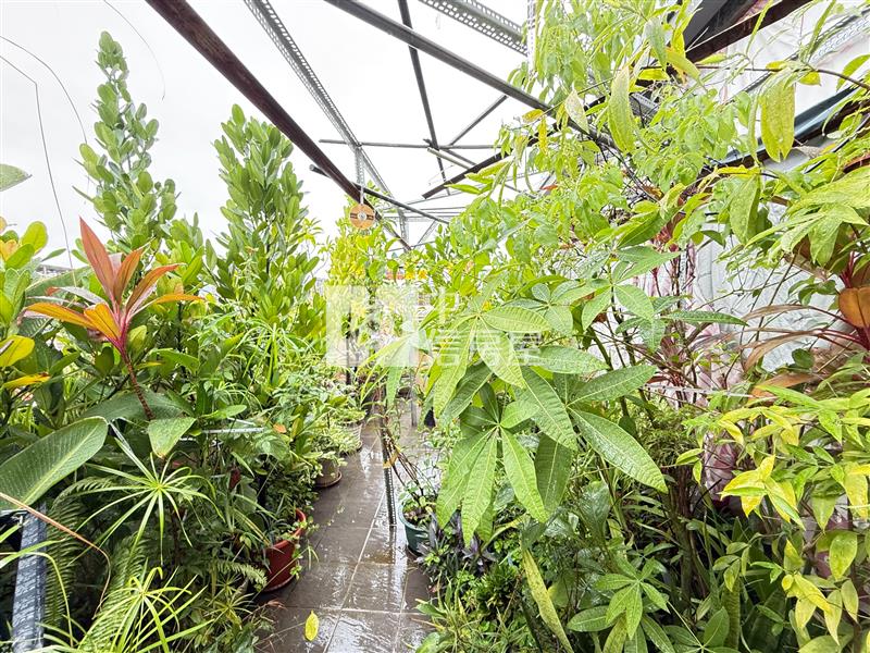 進德國小電梯大三房美廈(專任)房屋室內格局與周邊環境