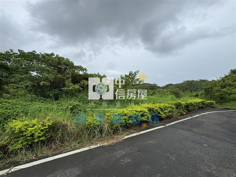 【新夢想】幼獅擴大工業區旁農用廠房農地房屋室內格局與周邊環境
