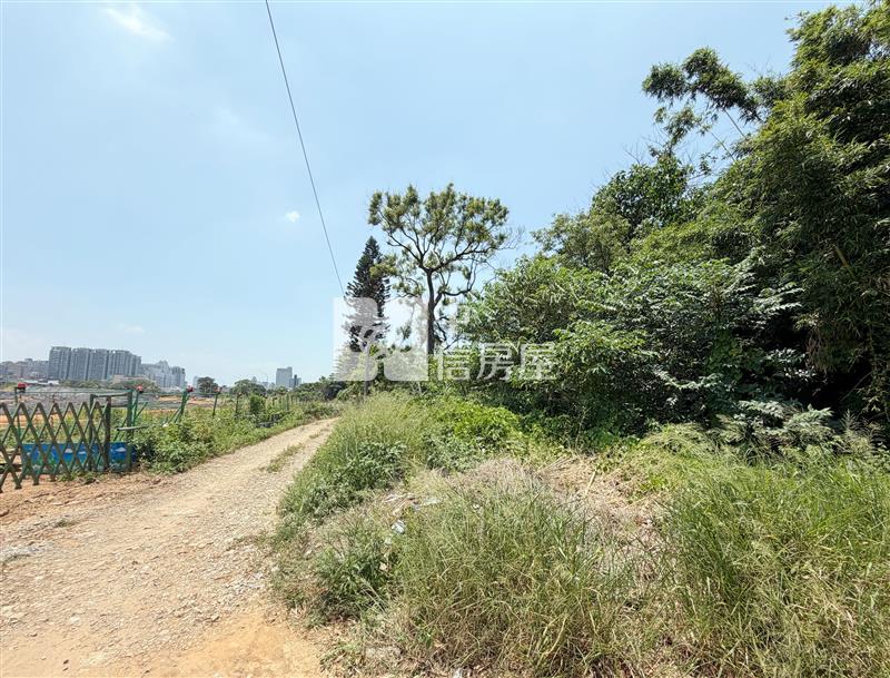 A21興南路都內方正田房屋室內格局與周邊環境