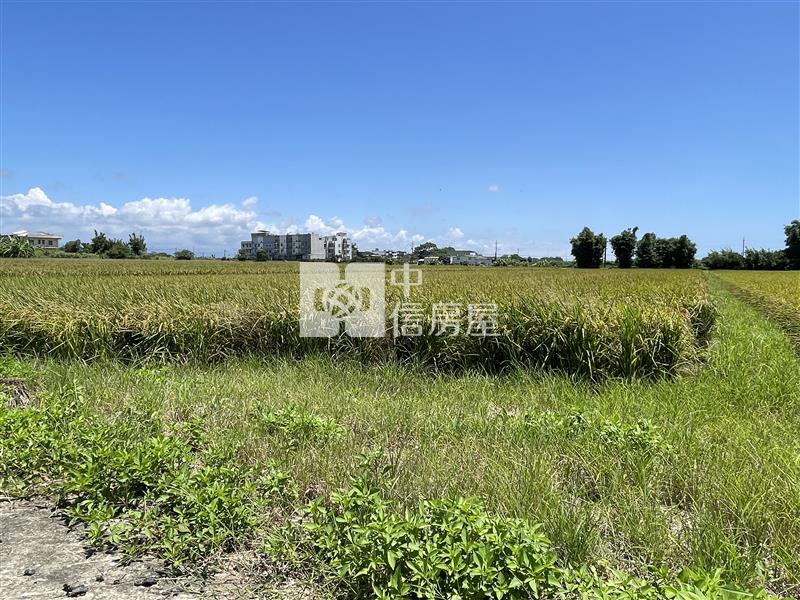 台15線蚵間國小旁美農地房屋室內格局與周邊環境