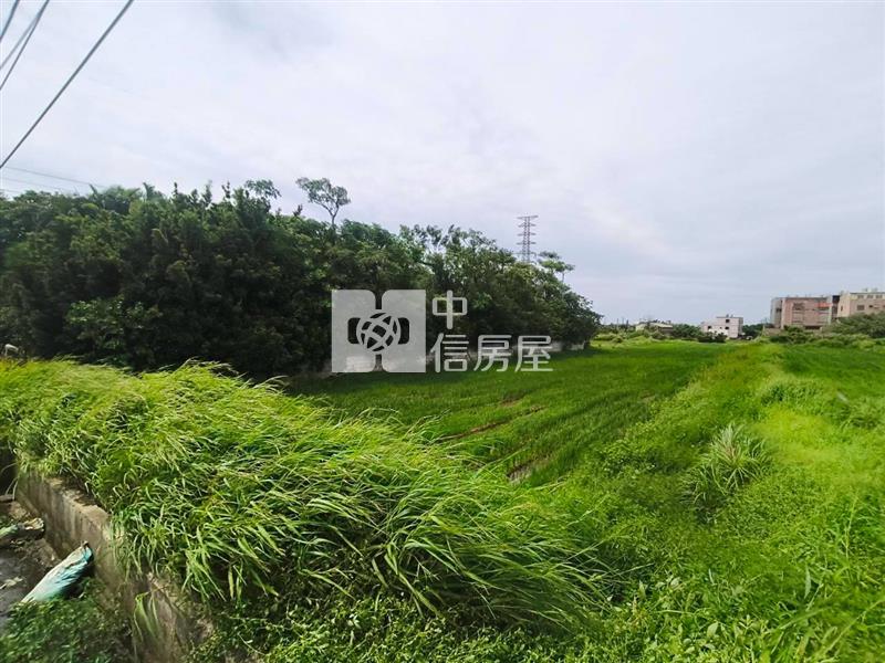 觀音新坡國小便宜低於公告農保田房屋室內格局與周邊環境